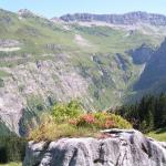 Klausenpass im Hintergrund der Glatten