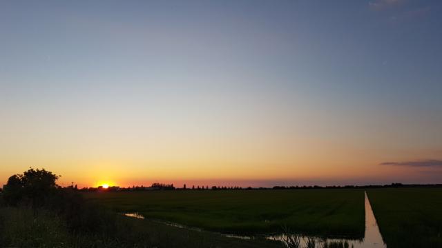 auf der Heimfahrt nach Ferrara genossen wir diesen Sonnenuntergang