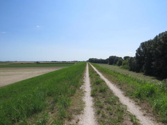 alles auf dem Damm entlang, wandern wir Richtung Anita