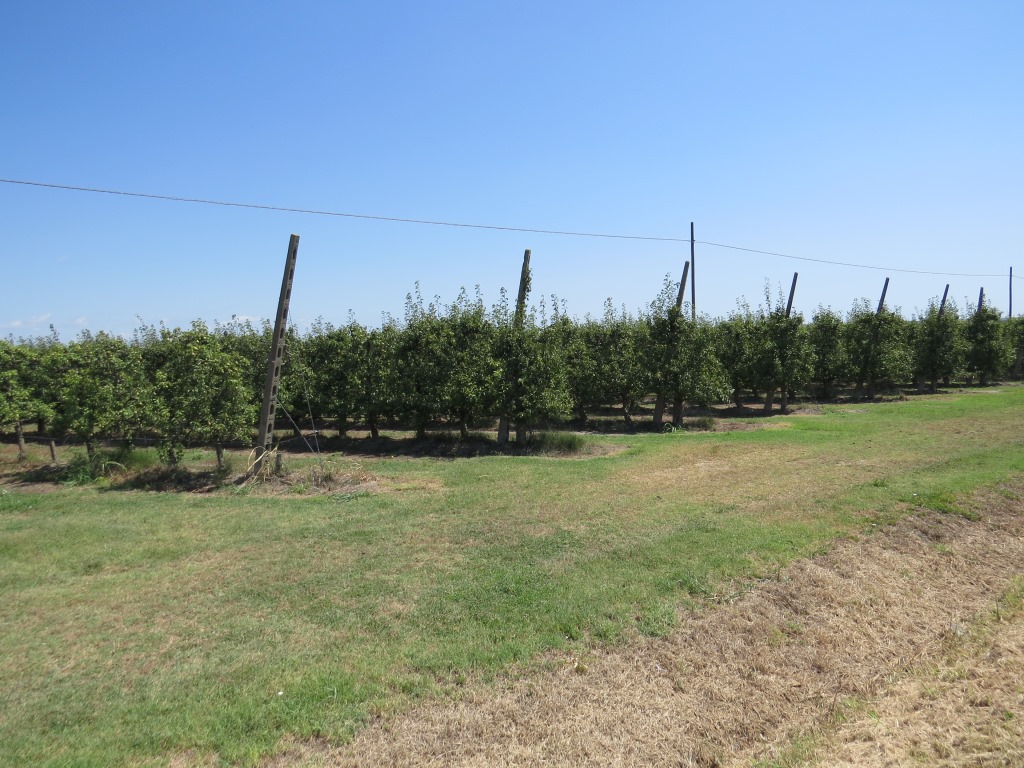 ...und Obstplantagen