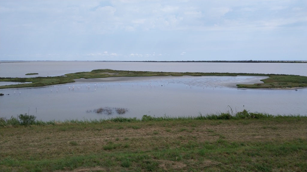 die Valli di Comacchio ist eine Lagunenlandschaft und ist als Europäisches Vogelschutzgebiet ausgewiesen