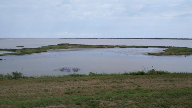 die Valli di Comacchio ist eine Lagunenlandschaft und ist als Europäisches Vogelschutzgebiet ausgewiesen