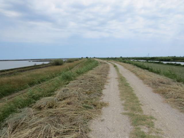 links von uns liegt die Lagune Valli di Comacchio. Rechts von uns fliesst der Reno Richtung Meer