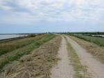 links von uns liegt die Lagune Valli di Comacchio. Rechts von uns fliesst der Reno Richtung Meer