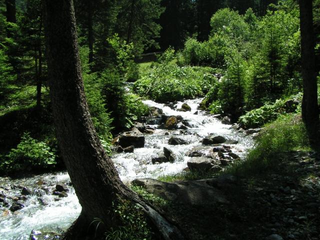 Hinter Schächen Bach