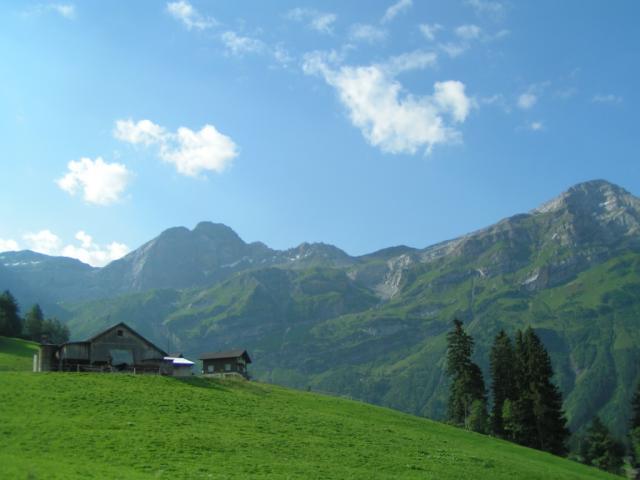 auf Haldi mit Blick zum Bälmeter Grätli