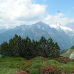 Blick Richtung Jakobiger und Krönten