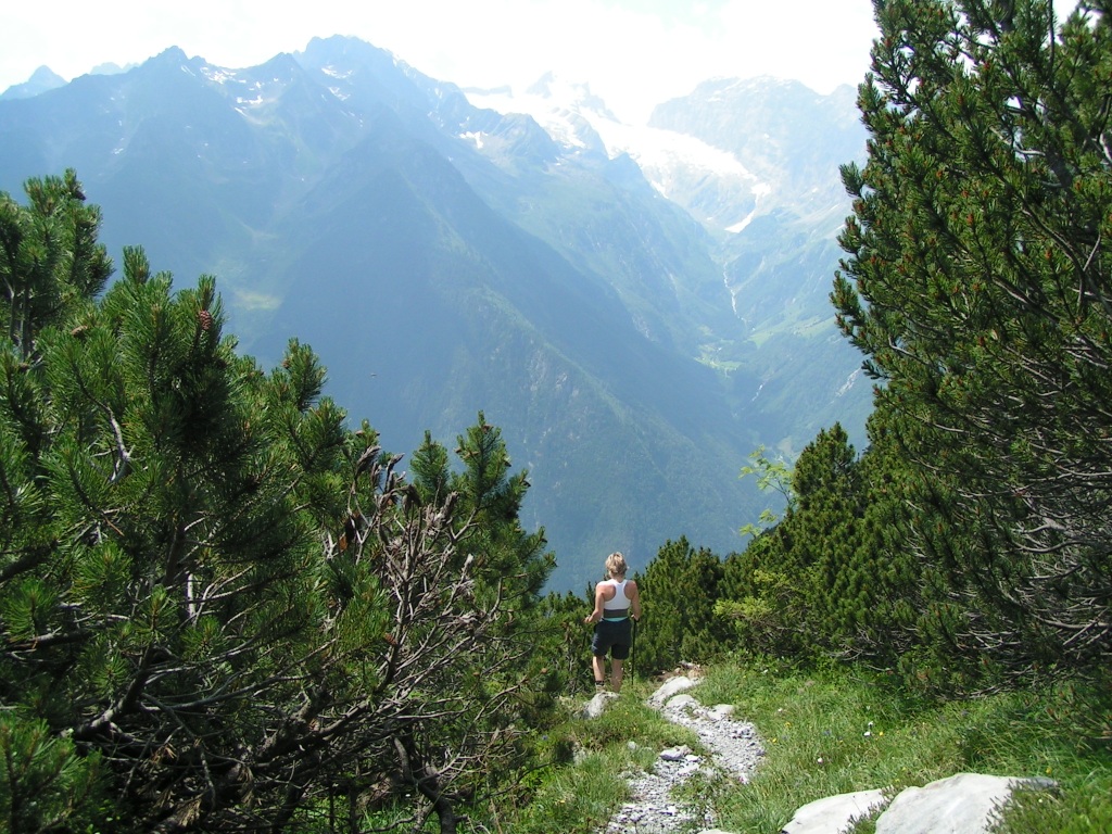 so schön durch diesen Föhrenwald zu laufen