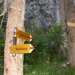 Wegweiser im Wald bei Geissnossen