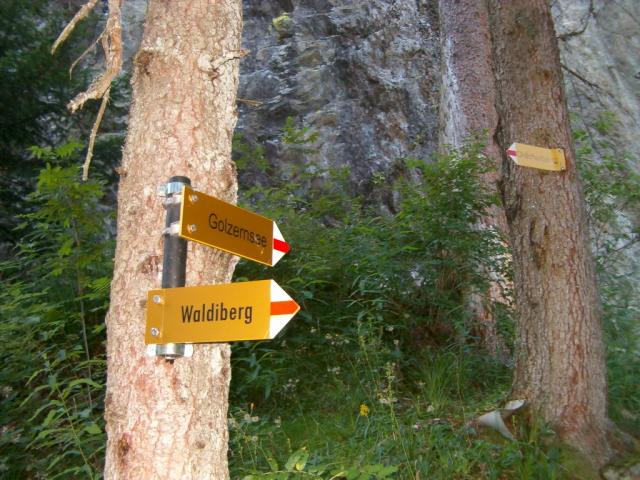 Wegweiser im Wald bei Geissnossen