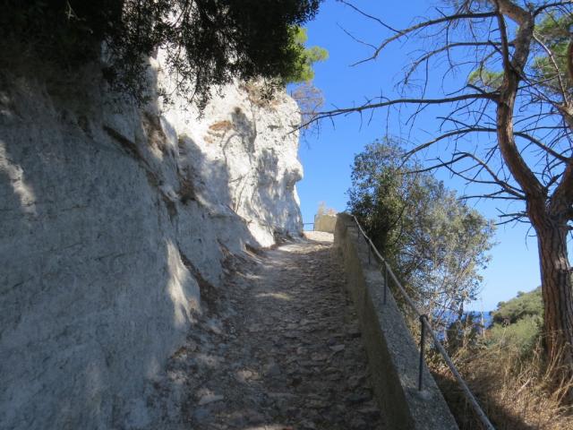 ...und steigen an Kreidefelsen steil aufwärts