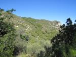 gut ersichtlich der Wanderweg, der uns zur Klippe Monte Capo Noli führen wird