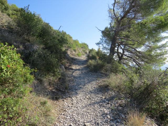 durch diese sehr schöne mediterrane Macchia und Pinienwälder zu wandern, macht einfach Spass