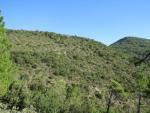 gut ersichtlich links vom Monte Sant' Elena, die Gola di Sant' Elena, dieser Übergang ist unser nächstes Ziel