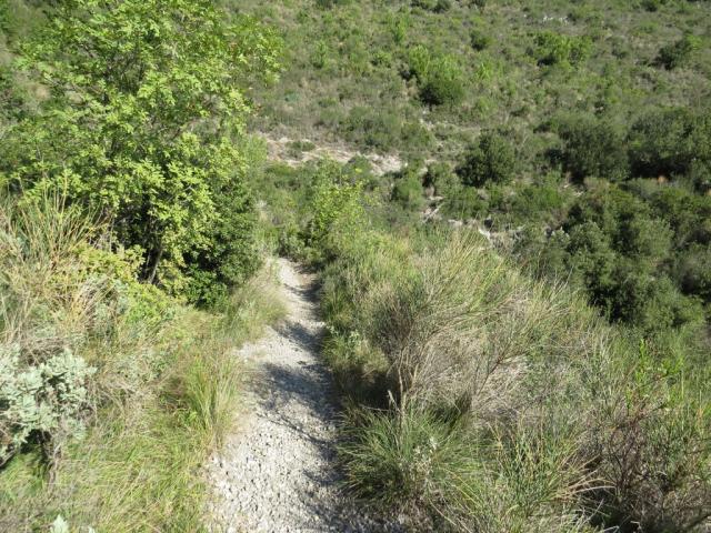 der schöne Wanderweg steigt weiterhin leicht an