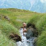 Mäusi in Kontakt mit frischem Bergwasser