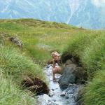 Mäusi in Kontakt mit frischem Bergwasser