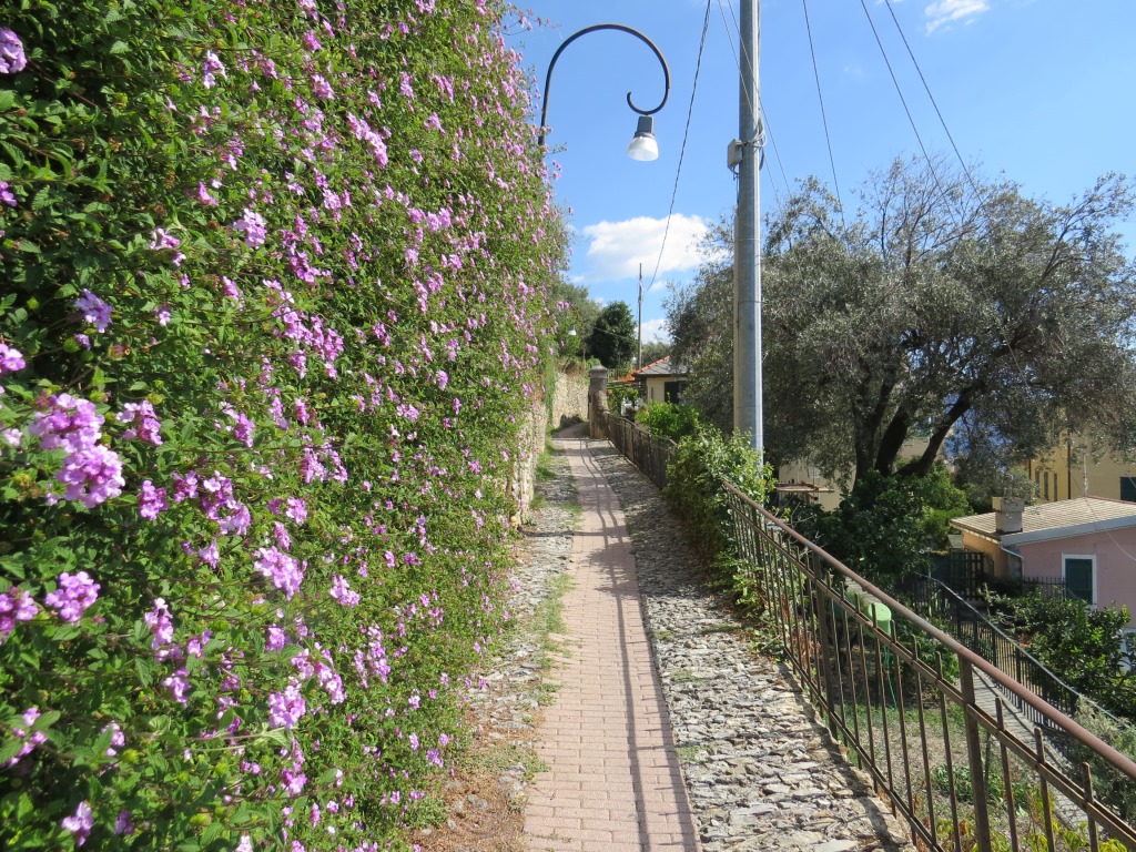 bei uns sind um diese Jahreszeit die Blumen oft schon im Winterschlaf