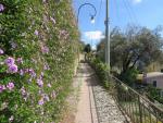 bei uns sind um diese Jahreszeit die Blumen oft schon im Winterschlaf