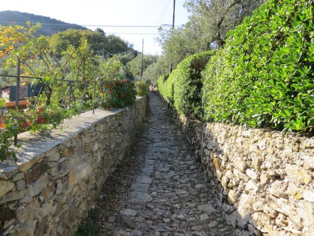 der schöne Wanderweg führt uns nun rund um den Monte di Portofino