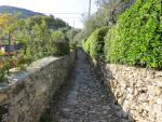 der schöne Wanderweg führt uns nun rund um den Monte di Portofino