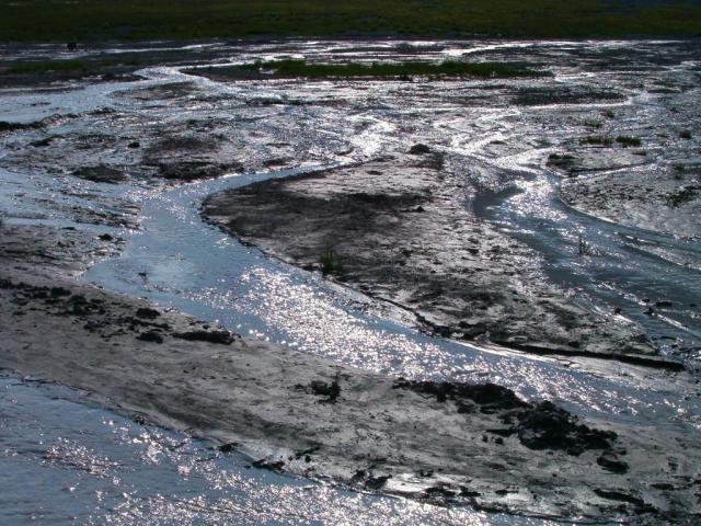 für was an der Nordsee gehen ?