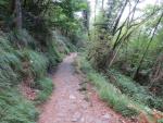 hier verlassen wir die Via della Costa und laufen hinunter zur Abtei di San Fruttuoso