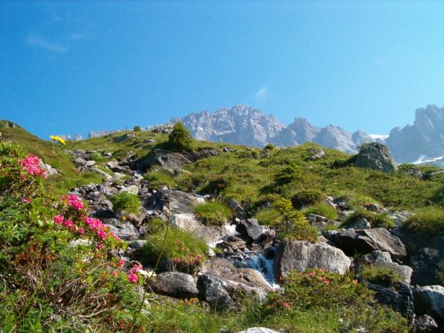 Alp Gnof im Hintergrund Gross Ruchen