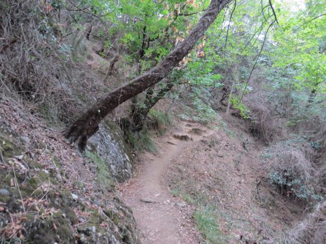 weiter geht unsere sehr schöne Wanderung