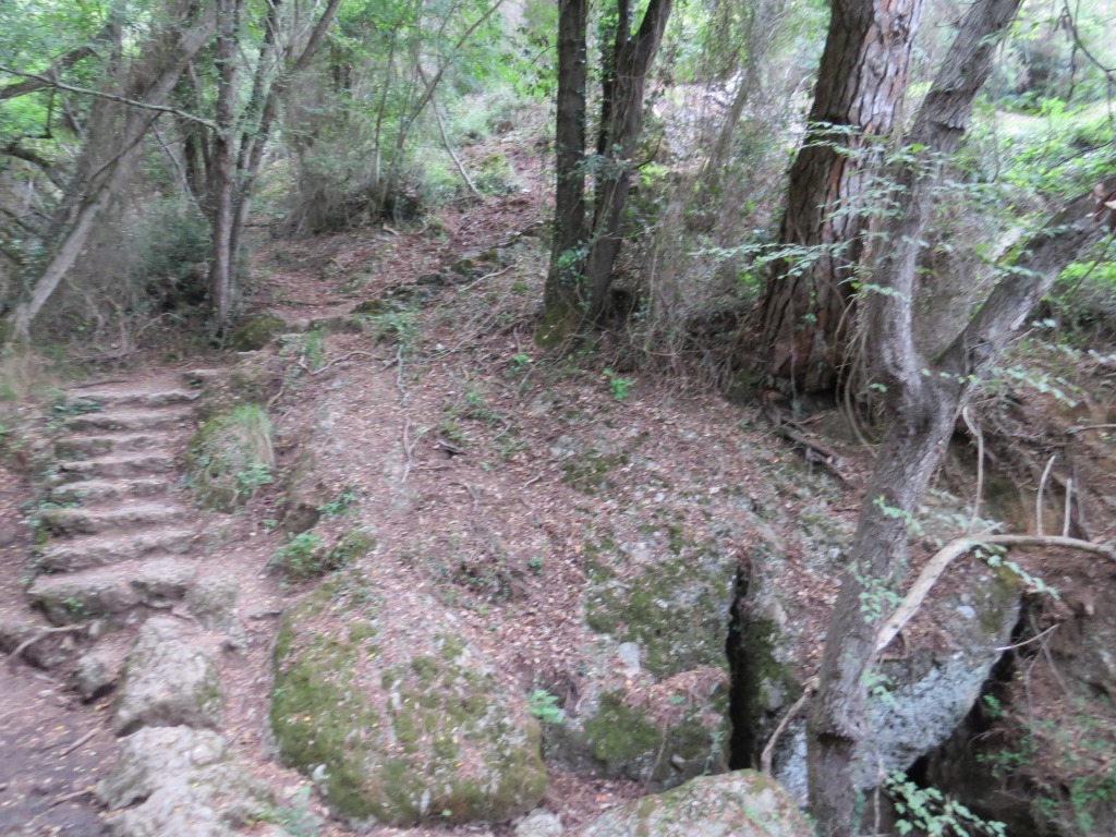 in leichtem Auf- und Ab wandern wir Richtung Portofino