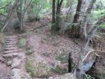 in leichtem Auf- und Ab wandern wir Richtung Portofino