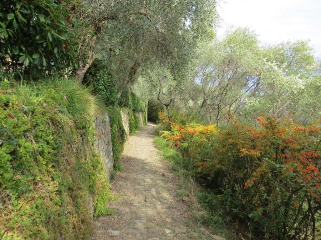 auf dem Weg Richtung Santa Margherita Ligure