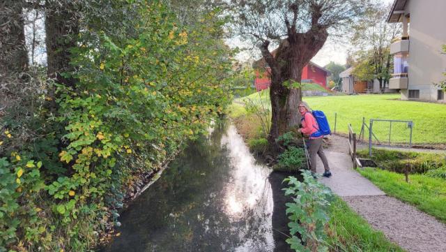 Links und rechts führt ein hübsch angelegter Weg dem Bachlauf entlang. An diesen zwei Bächen entlang...