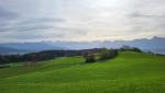 schade das der Saharastaub in der Atmosphäre, die Sicht ein bisschen trübt