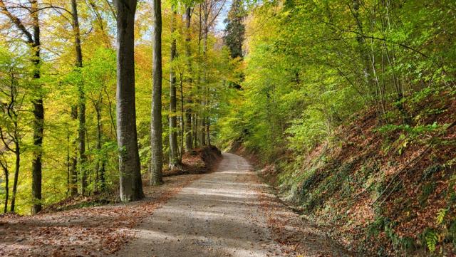 alles am Längenberg entlang...