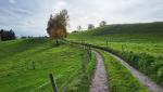 über eine sehr schöne Landschaft überqueren wir den Längenberg