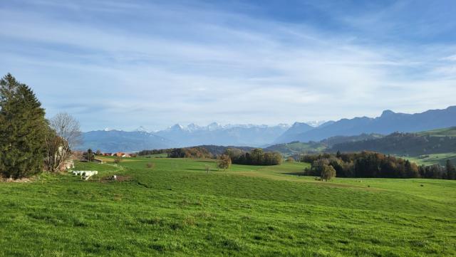 links von uns die Berneralpen, Niesen und Stockhorn. Diverse Gipfel haben wir in dieser Region bestiegen