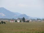 ...Monselice mit dem Hügel La Rocca (7-Kirchen Wallfahrtsort) links davon der Monte Ricco