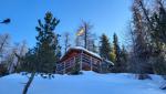 49.jpg