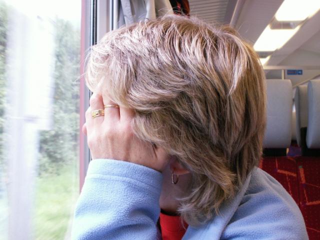 Mäusi schaut aus dem Zugfenster