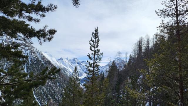 20230218_144157.jpg