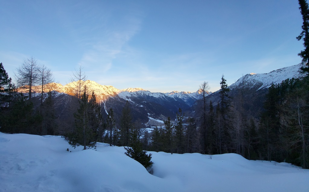 20230221_072610.jpg