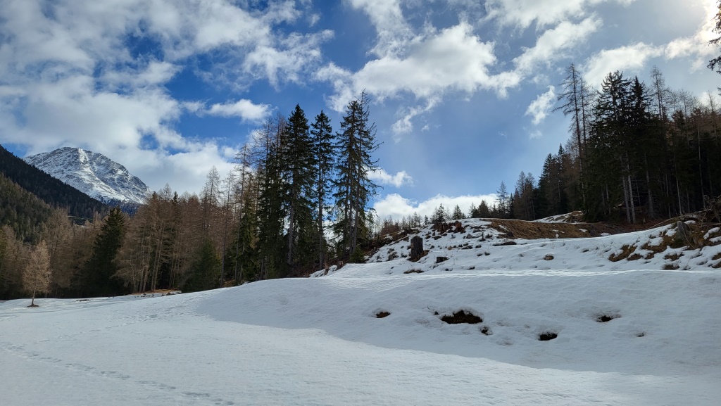 20230225_103954.jpg