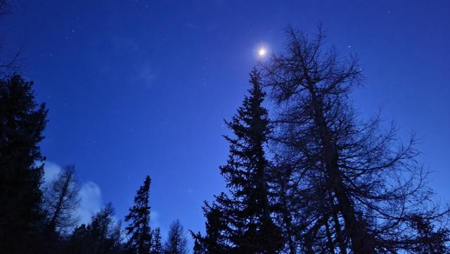 20230225_184718.jpg