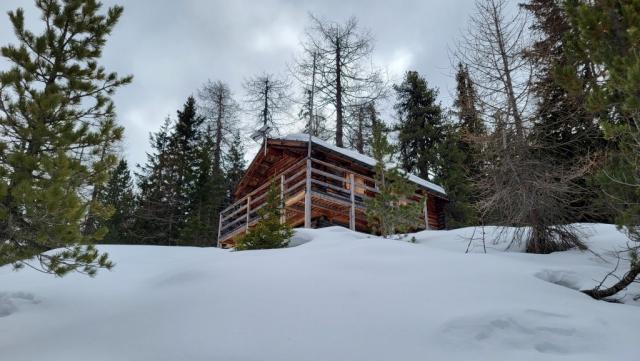 20230302_122949.jpg