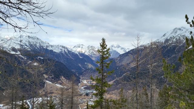 20230302_123010.jpg