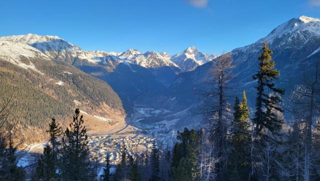 20230303_075516.jpg