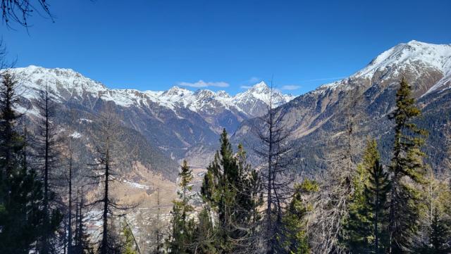 20230303_103905.jpg