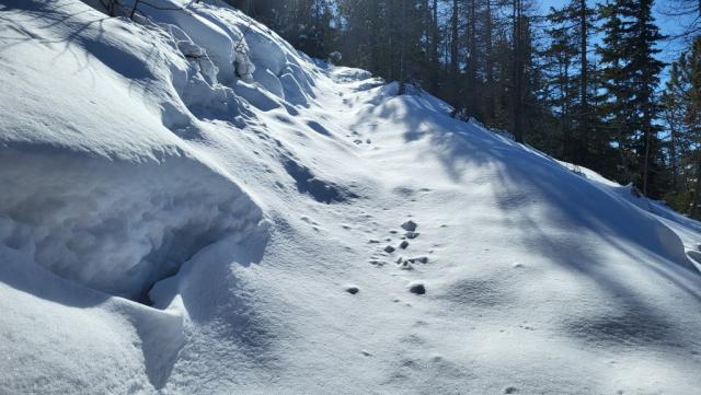 20230316_141110.jpg