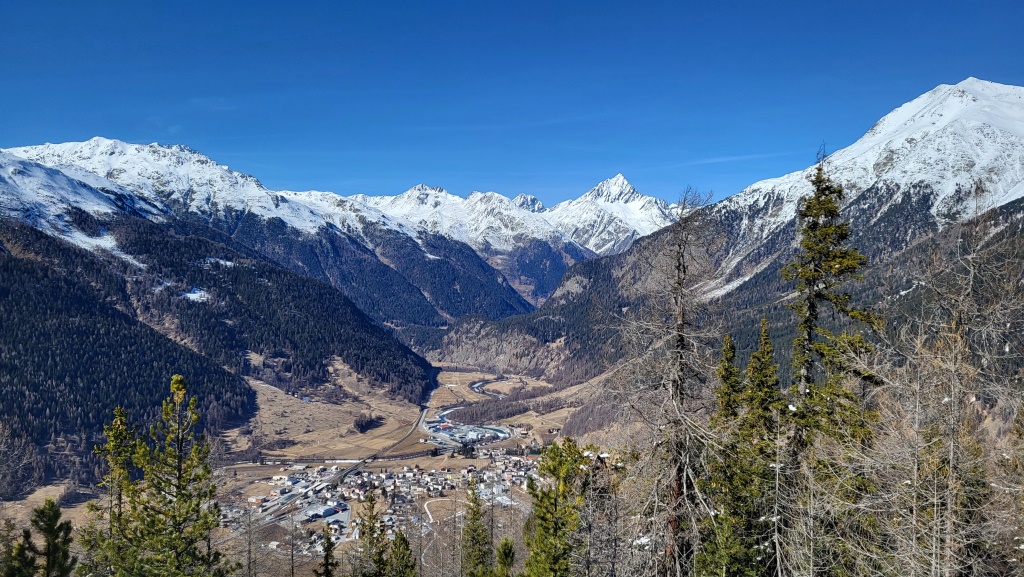 20230316_141740.jpg